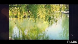 Ивушки вы ивушки.  Караоке