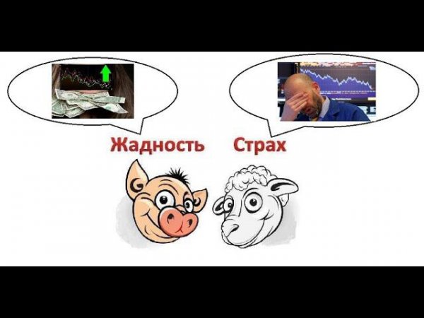 Жадность инвесторов