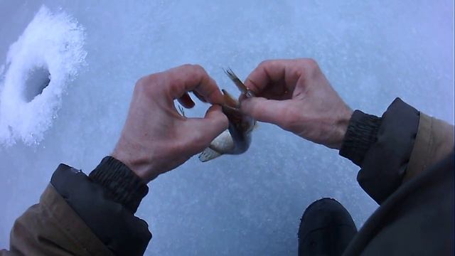 Рыбалка. Ловля щуки на наживку. Ловля на блесну зимой. смотреть онлайн