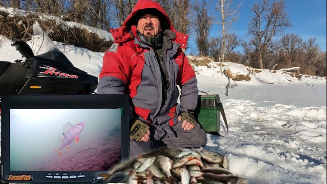 А ЕХАЛ ЗА ОКУНЯМИ !!! Рыбалка на Оби ( Сузун ) 20 января 2024г. смотреть онлайн