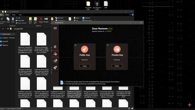 Decrypt ransomware encrypted files .itrz, .itqw, .zpas, .zput, .zpww, .ppvw, .ppvt смотреть онлайн