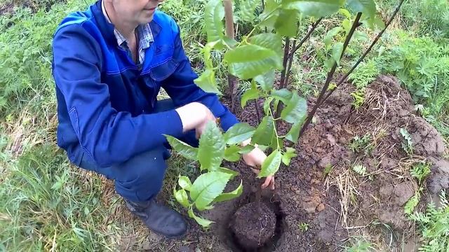 Йога для Гибкости и Силы