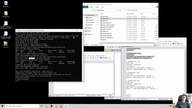 Running phylogenetic analyses in TNT via batch commands in a text file смотреть онлайн