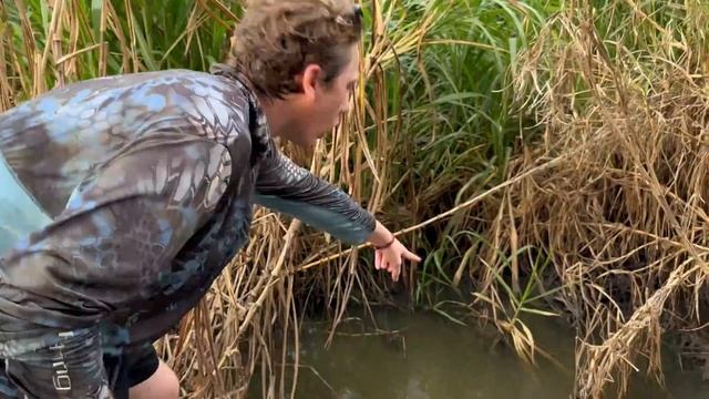 Trapping Wild Axolotls in ALLIGATOR INFESTED CREEK! смотреть онлайн