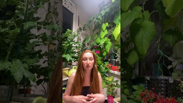 Растения смотреть онлайн