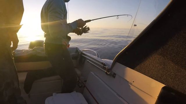 Рыбалка на Ладоге июнь 2020 СУДАК, ЩУКА, ОКУНЬ. смотреть онлайн