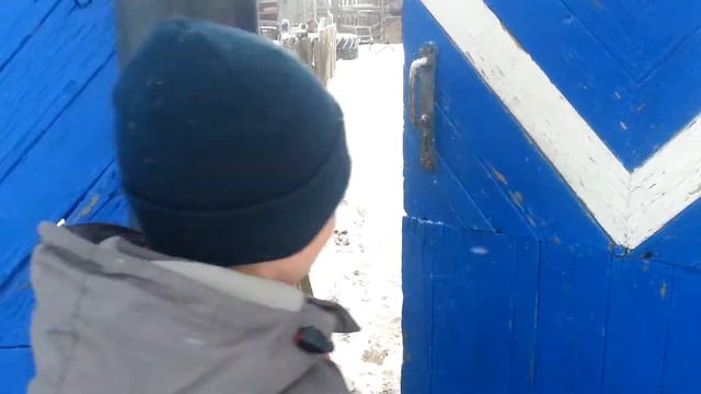 Слежка за собакой смотреть онлайн