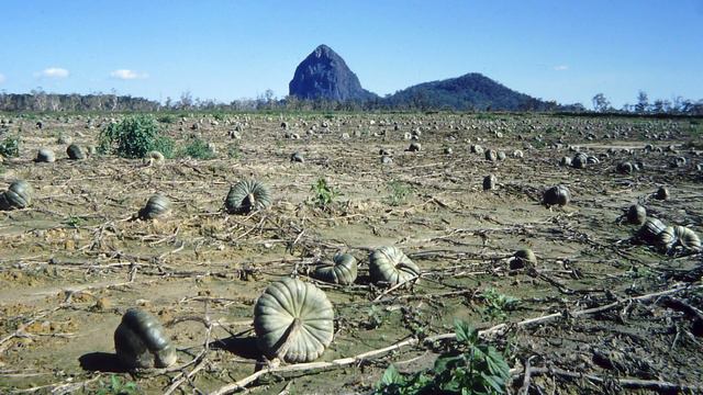 At Home In The Steep Places: The Story of Bill Peascod смотреть онлайн