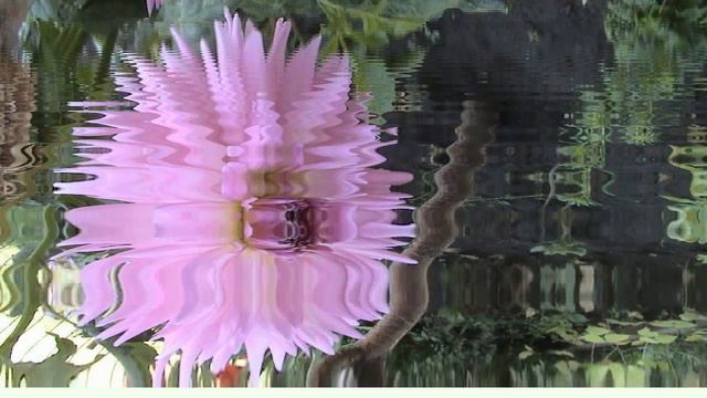 ФУТАЖИ-ВИДЕОЭФФЕКТЫ-СПЕЦЭФФЕКТЫ-ВИДЕОМОНТАЖ смотреть онлайн