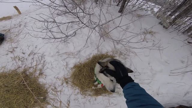 База отдыха Боровое