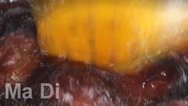 Вкусные рецепты варенья и джема