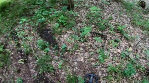 Лесной коп с металлоискателем Тёрка 705 продолжается!!