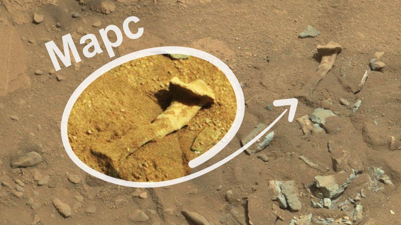 КОСТЬ на МАРСЕ? Фотографии необычного камня прислал марсоход Curiosity смотреть онлайн