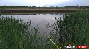 Ловля крупного карася на донку. Ловля карася на пружину на кук и пуфики Тутти Фрутти