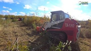 Расчистка земельного участка от от деревьев и кустарников.