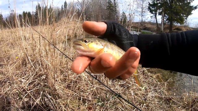 форелевый ручей смотреть онлайн