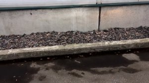 Улучшить свет на нексте.