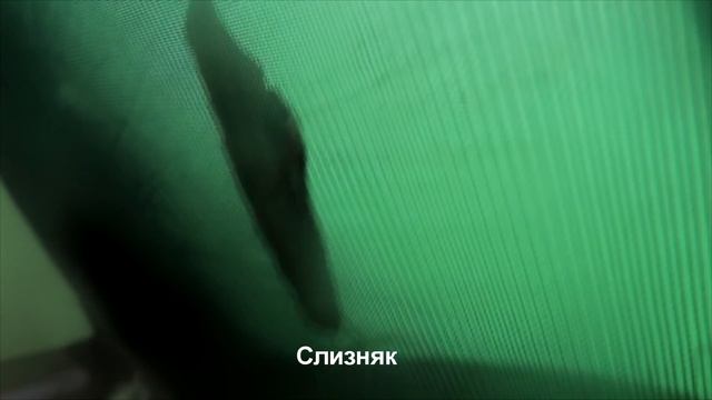 Ночевка в руинах, смог поесть, большой каньон смотреть онлайн