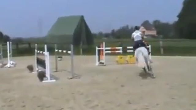 Gelding 9 y by Cornet Obolensky 1,40m trying.m4v смотреть онлайн