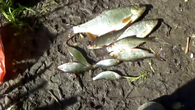 На рыбалке с крючком надо дружить смотреть онлайн