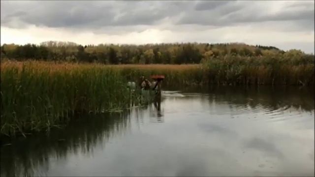 Косилка на водно-гребной базе 2019-09-20 смотреть онлайн
