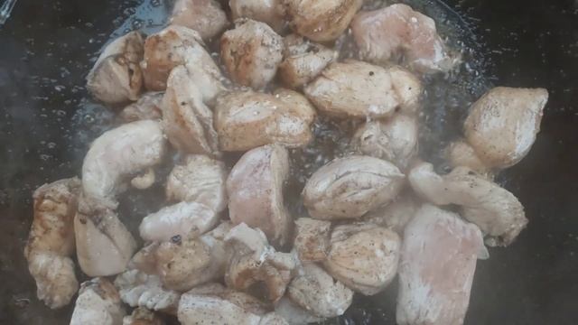 Наука о Животных и их Поведение