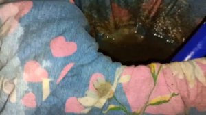 ортофосфорная кислота, промывка автопечки ортофосфорной кислотой Террано 2