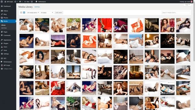 Adult Mass Photos Downloader WordPress Plugin смотреть онлайн