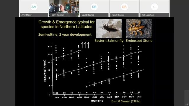 Introduction to EPTs - Plecoptera (Stoneflies) смотреть онлайн