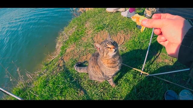 РЫБАЛКА С ДОЧКОЙ НА ПОПЛАВОК. Учу дочку ловить на удочку. смотреть онлайн