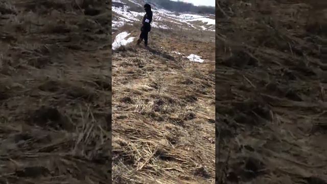 #лхвс#ранвасяран#аналогсцены смотреть онлайн