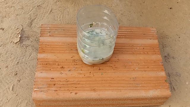 You will be strangely surprised after using this homemade fertilizer for plants смотреть онлайн