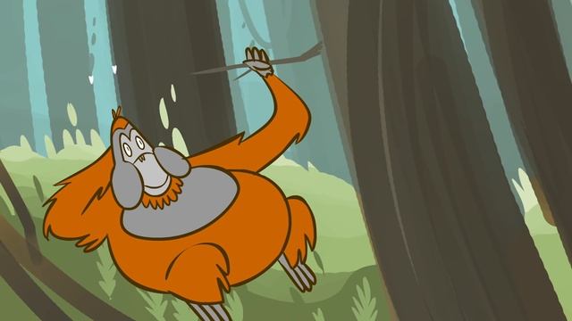 How smart are orangutans? - Lu Gao смотреть онлайн