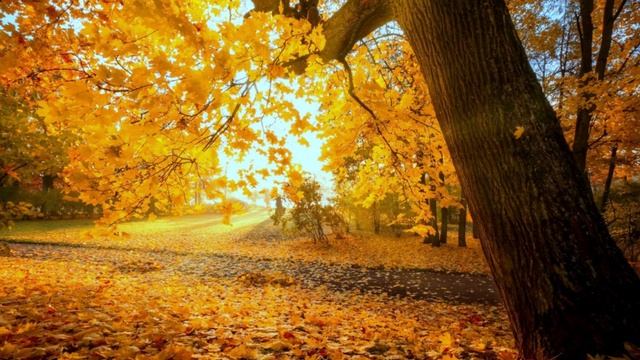 Врачеватели душ.