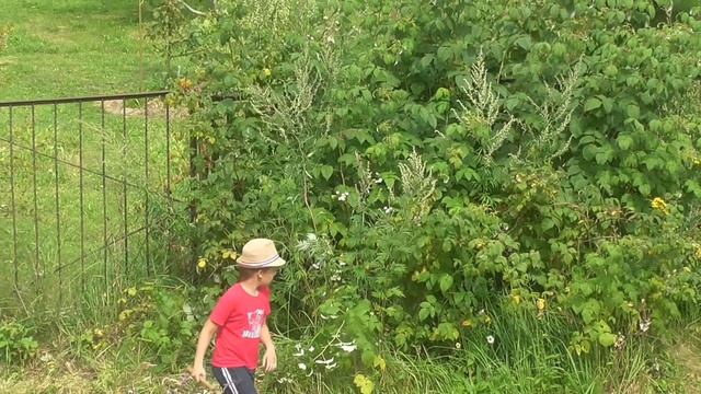 №183 На даче / Шалаш / Обычные будни / ДАЧНЫЙ ВЛОГ / Наша дача / жизнь НА ДАЧЕ ВЛОГ смотреть онлайн