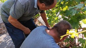 НА ВИНОГРАДНИКЕ У ДРУГА! 🍇🍇🍇.mp4 WhatsApp и Viber +79528500417, ТЕЛ. +79054033245.