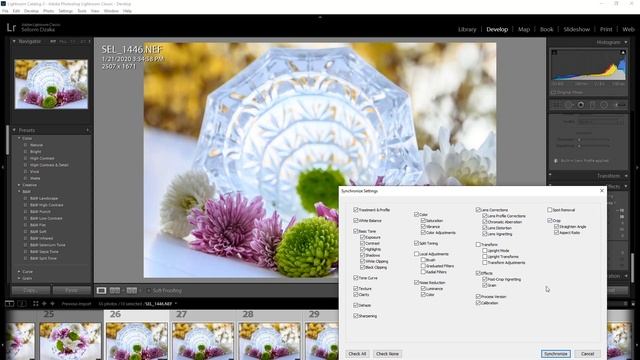 Nikon Z6 / Z7 (d850)  Auto Focus Shift And Focus Stacking Tutorial. | Macro | How To: