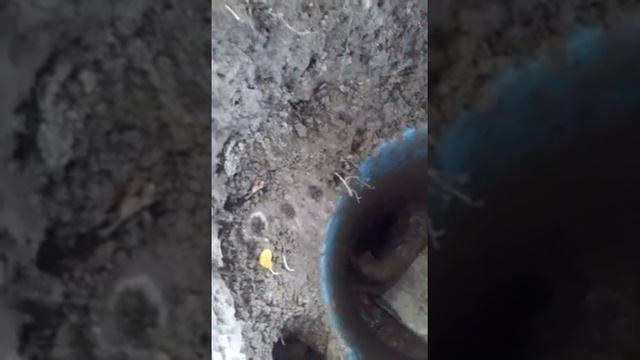 Ловушка для крота на даче смотреть онлайн