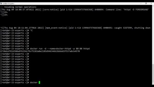 Dockerize Apache Web Server | Run Apache in Docker Container| Build an Apache Docker httpd