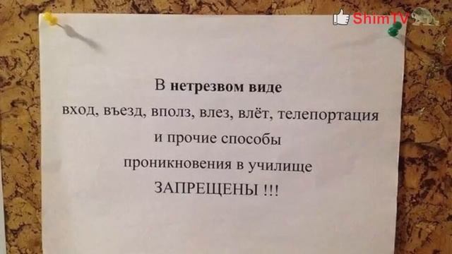 Смешные надписи, ценники и объявления #31 смотреть онлайн
