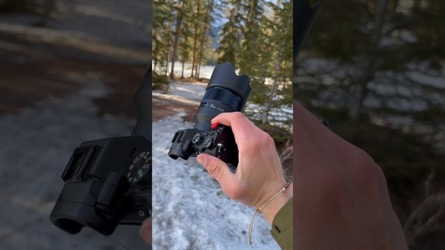 Sony a7ii + 85mm 1.8 #cameras #sony #sonycamera #amazingworld #photography #trave смотреть онлайн