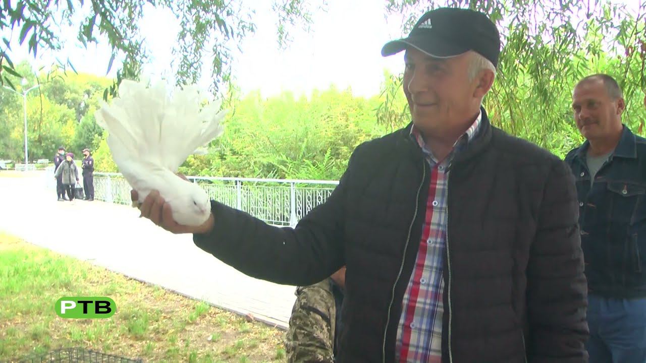 Общий праздник смотреть онлайн