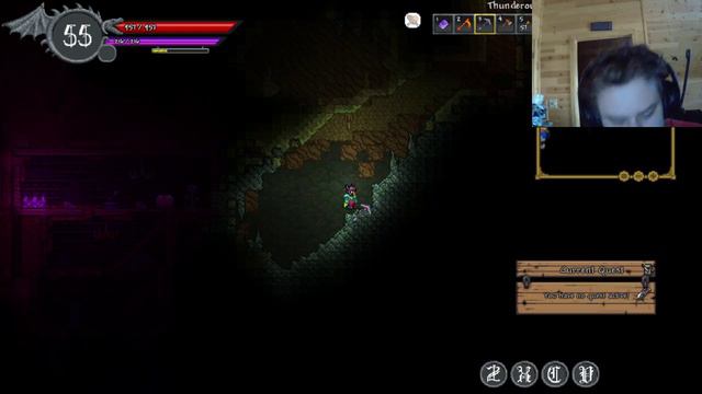 Modded Terraria Stream #15 смотреть онлайн