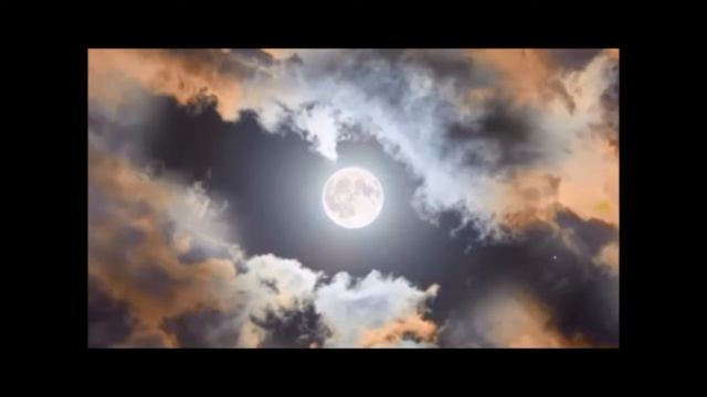 Стихотворение  Н.С. Гумилева Вечер
