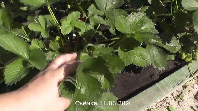 Королева Елизавета 2 НЕ перестает нас удивлять смотреть онлайн