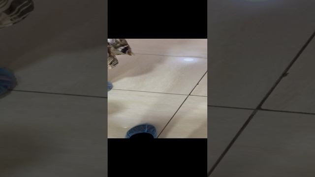 Разговор за кадром с пациенткой после операции. Флеболог Москва смотреть онлайн