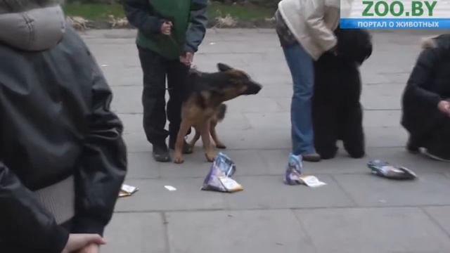 Лучший юниор смотреть онлайн