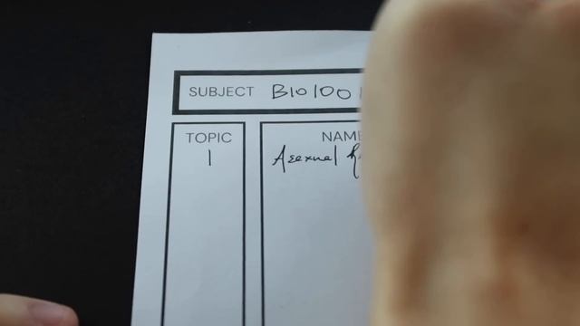 how I went from FAILING to becoming a TOP STUDENT | TOP 10 BEST STUDY TIPS + free printable смотреть онлайн