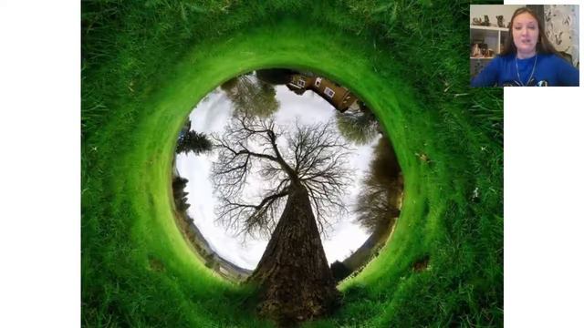 ИСТОРИЯ РОДА смотреть онлайн