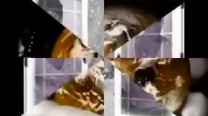 Алевтина Егорова " На ниточке "